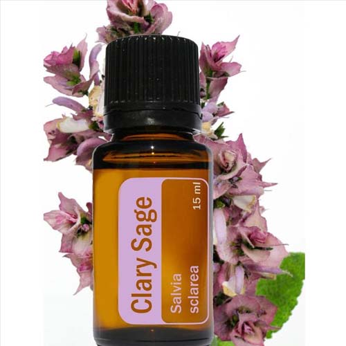 Clary Sage Oil